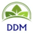 Logo_DDM