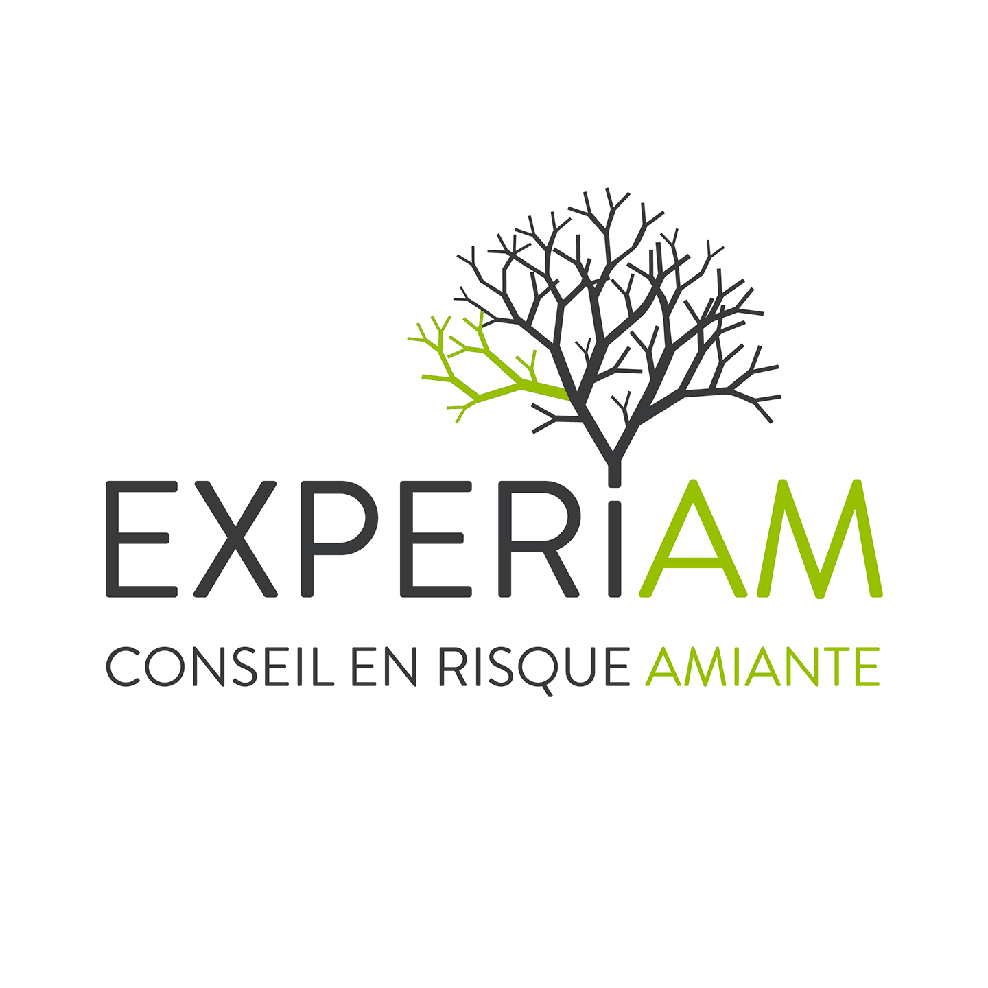 Logo_EXPERIAM